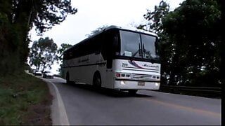 Latinas lujuriosas folladas en el autobús en sexo grupal