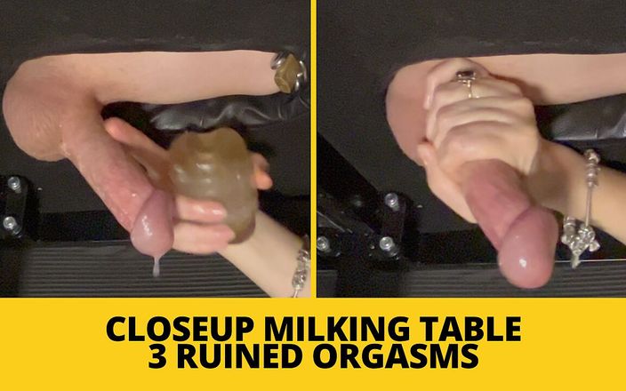 Mistress BJQueen: Primer ordeño en mesa 3 orgasmos arruinados