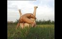 Vintage Climax: O femeie roșcată mare se fute și suge pula în natură