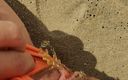 Real fun &amp; fetish: Девушка-эксгибиционистка с песком в трусиках писает на пляже