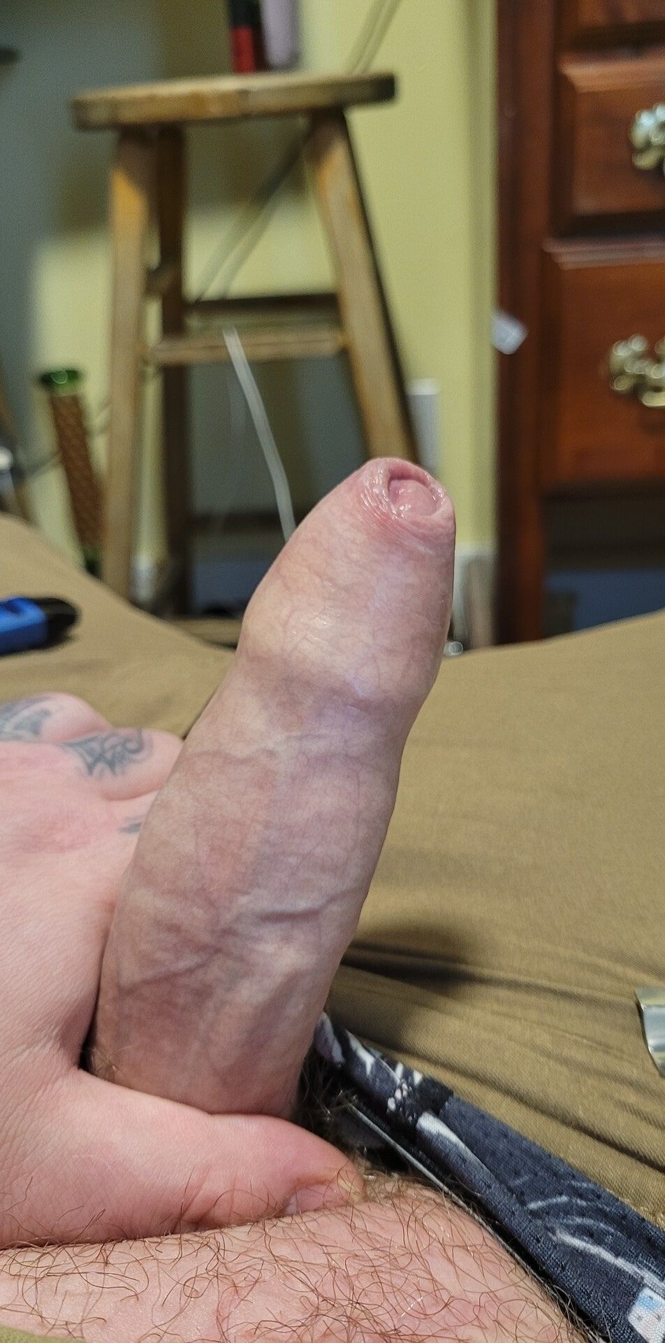 Uncut veiny cock 