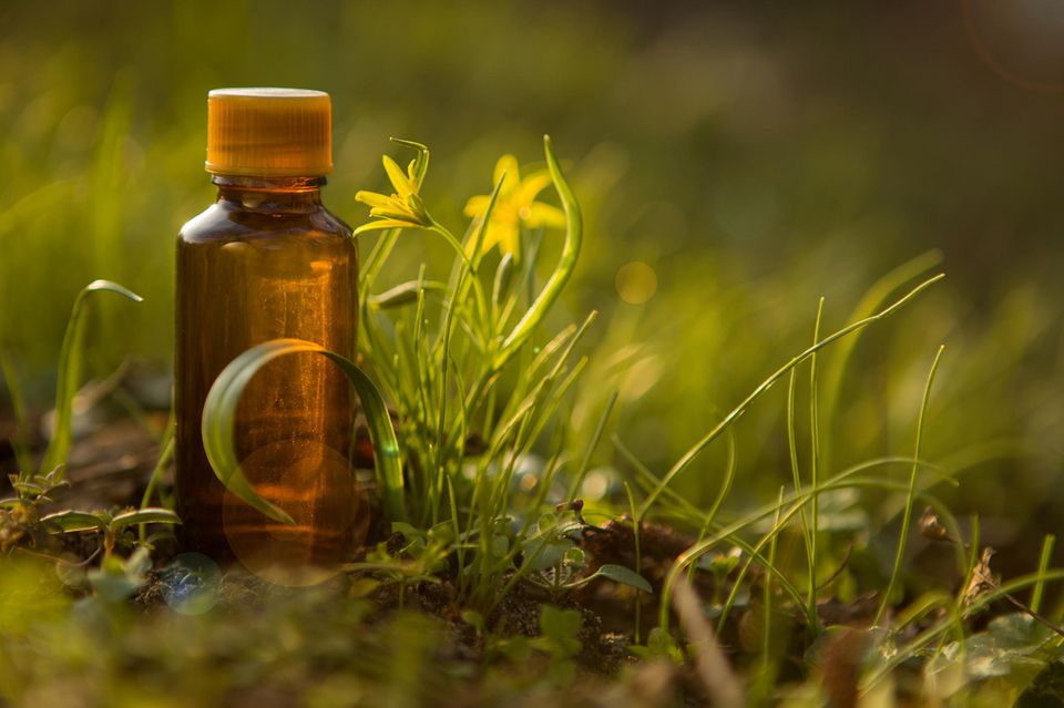 Wirkung von Bachblüten: Bachblütentropfen in Natur