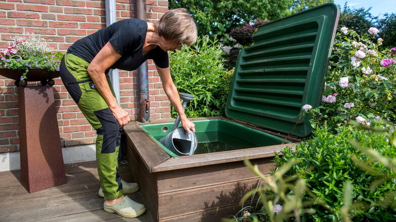 Der Garten im Mai: Bunkern hilft gegen Hitzeschäden