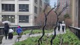Das Kunstwerk "Forgiving Change" des Berliners Timur Si-Qin steht 2018 auf der High Line, die auch bei Regen Besucher anzieht