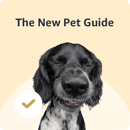 New Pet Guide