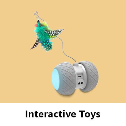 Interactive Toys