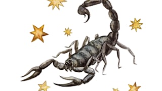 Skorpion in der Liebe: Welches Sternzeichen passt zu Ihnen?