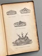 Moderne kookkunst. François Blom. 1893  /  2e druk kookboek, Antiek en Kunst, Antiek | Boeken en Bijbels, Ophalen of Verzenden