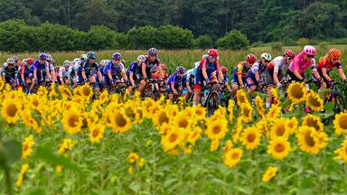 Das Peloton auf der 7. Etappe der Tour de France Femmes
