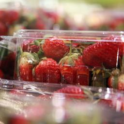 Erdbeeren liegen in Plastikschalen in einem Supermarkt