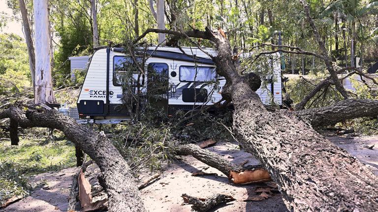 Ein umgestürzter Baum liegt auf einem Wohnwagen in der Nähe von Gold Coast, Australien.