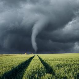 Tornado im Getreidefeld