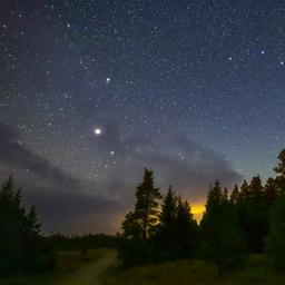 Der Große Wagen und Arcturus über einer bewaldeten Nachtlandschaft in den Cypress Hills, Saskatchewan.