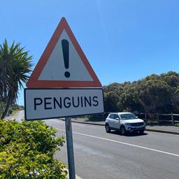 Ein Straßenschild warnt vor Pinguinen.