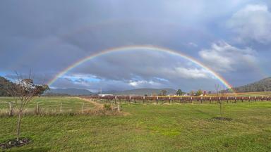 Regenbogen bei Aprilwetter