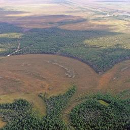 Luftaufnahme des sibirischen Waldes