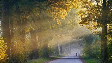 Früherbstliche Stimmung