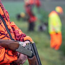 Immer mehr Niederländer kommen in die Eifel oder die Niederland jagen. Die Jagdtouristen können über spezielle Reiseanbieter solche Jagden buchen. Mittlerweile sind auch viel Jagdpachten in niederländischer Hand.