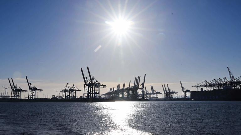 Die Sonne scheint über den Containerbrücken am Terminal Burchardkai im Hamburger Hafen.