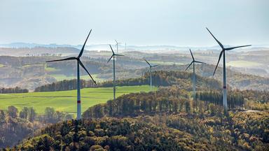 Windräder im Wald