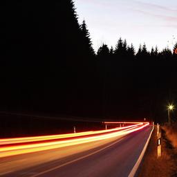 Auf einer Straße wird vor Wild gewarnt.