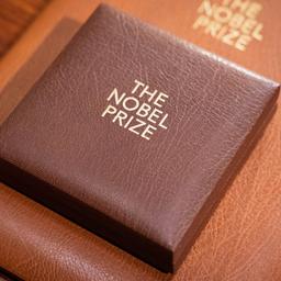 Die Hülle einer Nobelpreis-Medaille