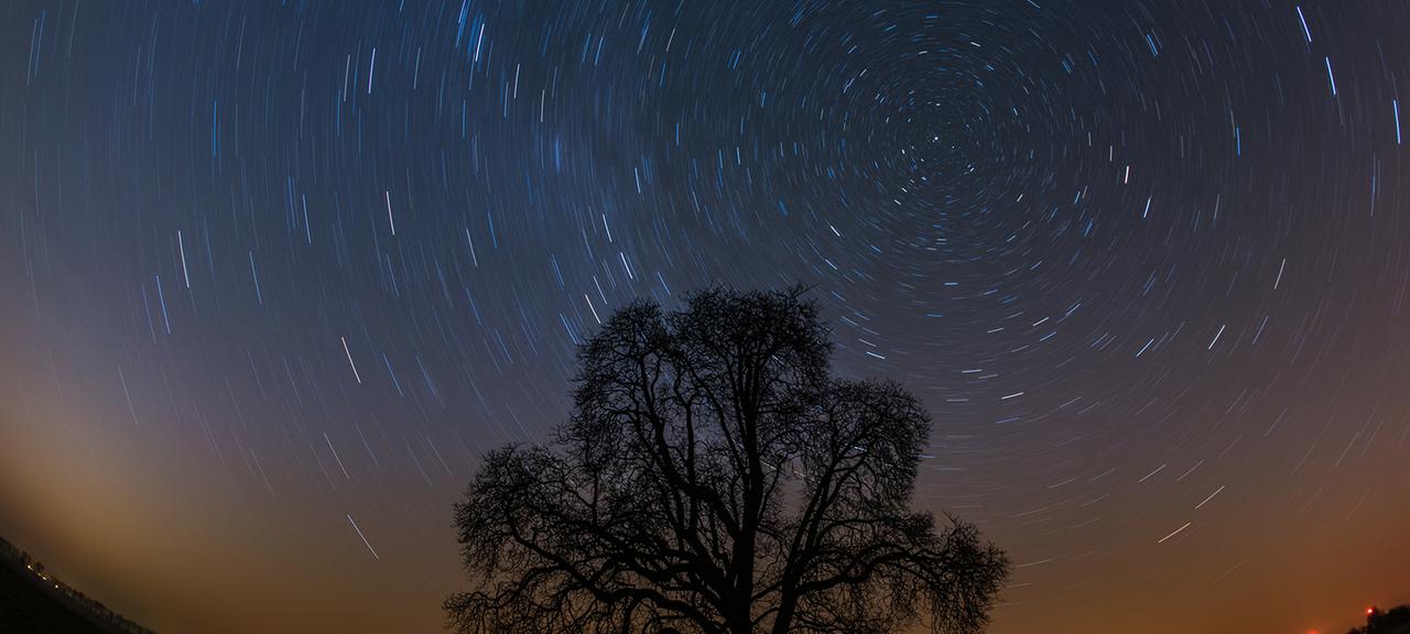 Durch eine Langzeitbelichtung wird am Sternenhimmel über einem Feld mit einem einzelnen Baum die Erdrotation um den Polarstern sichtbar.