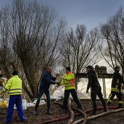 Feuerwehren und Einwohner errichten einen Sandsackwall als Hochwasserschutz entlang des Flusses Helme. 