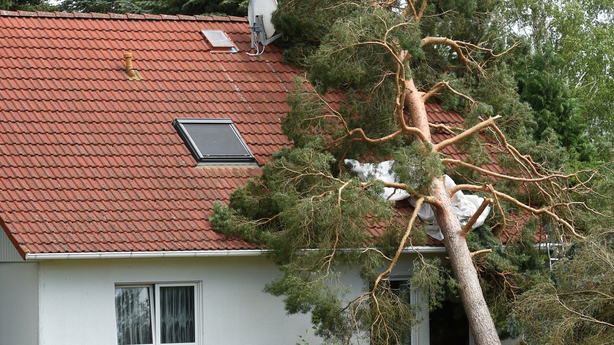 Ein Baum ist auf ein Dach gefallen