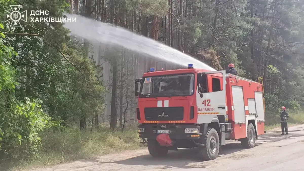 На Харківщині лісовими пожежами охоплено 3 тисячі гектарів