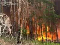 На Харківщині масштабна лісова пожежа, зупинити її майже не можливо через замінування