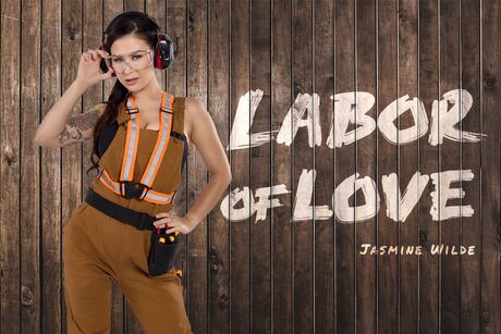 Labor of Love VR Porn Video