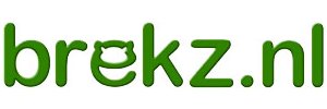 Brekz Black Friday logo