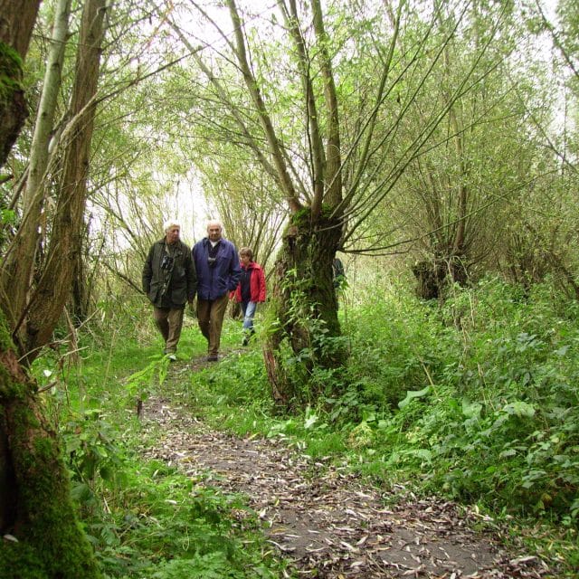 wandelen - wandelaars - natuur