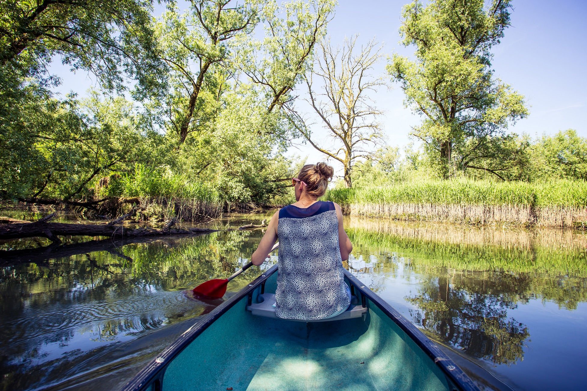 Biesbosch kano water citytrip Nederland