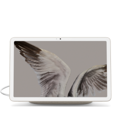 Auf dem Display von Pixel Tablet ist eine Nahaufnahme eines Vogelflügels zu sehen.