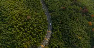 Vista aérea de um carro da marca Jaguar numa estrada a atravessar uma floresta.