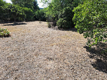 maison neuve à Cuges-les-Pins (13)