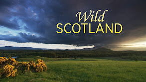 Wild Scotland thumbnail