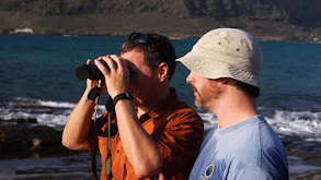 Hawaiian Monk Seals thumbnail