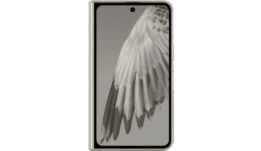 Ein Google Pixel Fold von vorne mit dem gestochen scharfen Foto eines Vogelflügels.