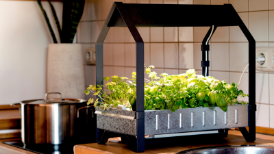 hydroponic herb garden on kitchen counter