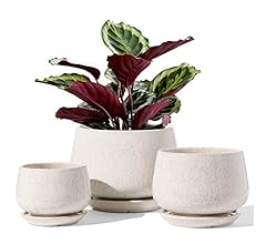 LE TAUCI Plant Pots, 4.1+5.1+6.5 inch, Set of 3, Ceramic Planters with Drainage Hole and Saucer, Indoor Flower Pot with Hol…