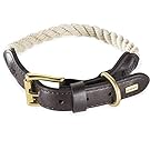 Embark Pets Country Dog Rope Collar - Braided Cotton and Rolled Leather Dog Collar For Medium Dogs - Durable Dog Collars For Medium Dogs and Strong Build for Training, Walking, Running (Medium, White)