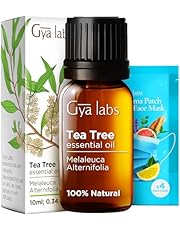 Gya Labs Australian Tea Tree Oil for Skin, Hair, Face &amp; Toenails - 100% Natural Melaleuca Oil Tea Tree Essential Oil for Piercings, Scalp &amp; Hair - 100% Pure Oils (0.34 fl oz)