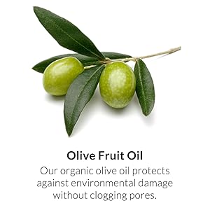 olive fruit oil