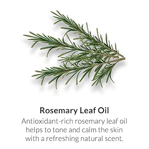 rosemary leaf oil