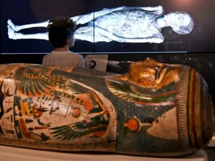 A young visitor looks at a 3D image of a CT scan of an Egyptian mummy, during a preview fo