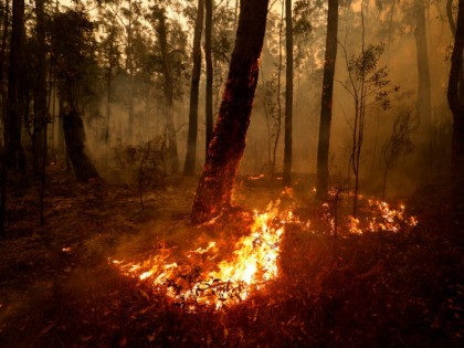 Small spot fires still burn on January 05, 2020 between Orbost and Cann River along the Pr