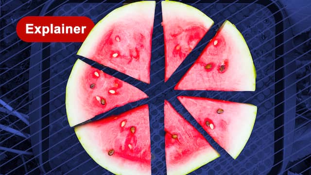 'Rubberachtig' fruit gaat viral op TikTok: hoe komt de structuur zo?